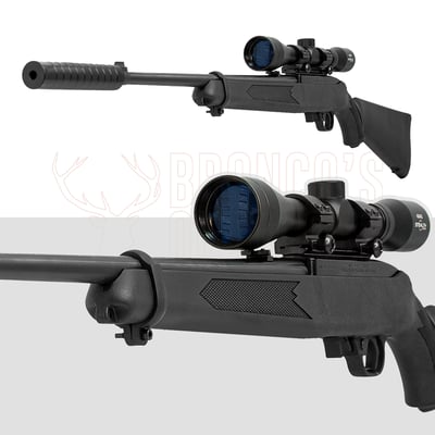 Ruger 10/22 Blued Synthetic .22 LR Rifle + 4x40 Scope + Suppressor