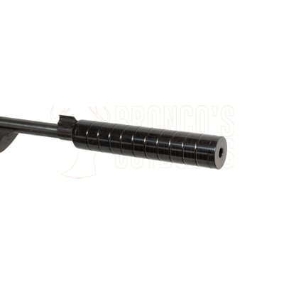 Ruger 10/22 Blued Synthetic Tac Hammer Stock .22 LR + 3-9x32mm Scope + 2 Spare Magazines + Suppressor