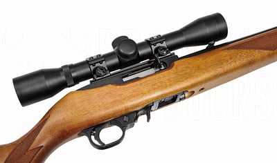Ruger 10/22 Sporter Blued Wood .22 LR Rifle + 4x32mm Scope + Suppressor
