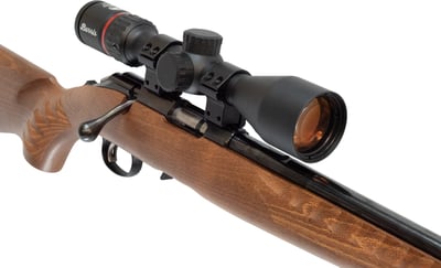 Ruger 10/22 Sporter S/S .22 LR + Burris Fullfield Riflescope 3-12x42mm Plex KSB MY25 + Suppressor