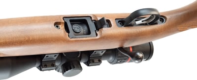 Ruger 10/22 Sporter S/S .22 LR + Burris Fullfield Riflescope 3-12x42mm Plex KSB MY25 + Suppressor