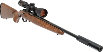Ruger 10/22 Sporter S/S .22 LR + Burris Fullfield Riflescope 3-12x42mm Plex KSB MY25 + Suppressor