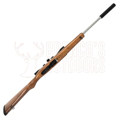 Ruger 10/22 Sporter Stainless .22 LR + 4x32 Scope + Suppressor