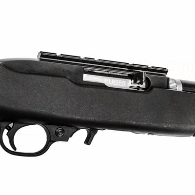 Ruger 10/22 Take-Down Lite Blued .22 LR