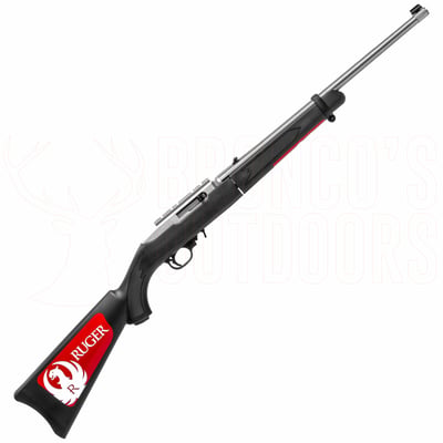 Ruger 10/22 Take-Down Stainless .22 LR
