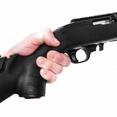 Ruger 10/22 Take-Down Target .22 LR