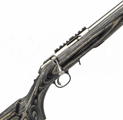 Ruger American Rimfire Target Stainless .22 LR