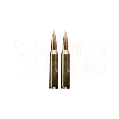 Sako TRG Precision .300 Win Mag 175gr OTM 10 Rounds