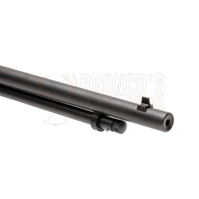 Savage Revel Classic Takedown .22 WMR