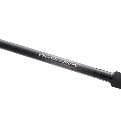 Shimano Dialuna Inshore Spin Fishing Rod