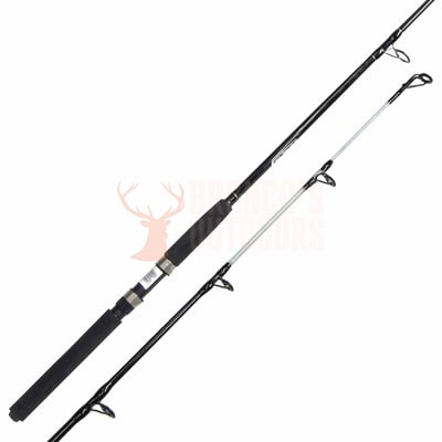 Shimano Eclipse Rod