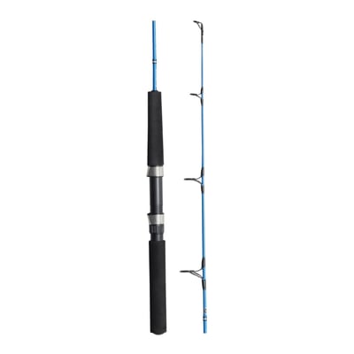 Shimano Lipstix Fishing Rod 6'6" 1 Piece 8-15kg + Shimano TR2000LD Charter Special Fishing Reel