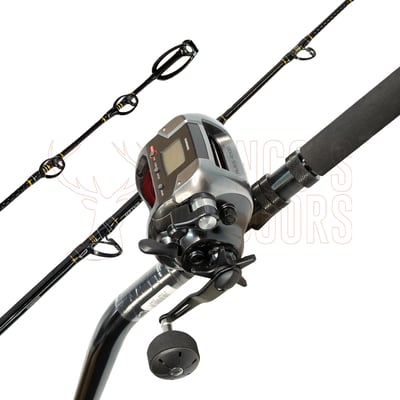 Shimano Status Bluewater Bent Butt Rod 5'6" PE:3-5 + Shimano Dendoumaru 4000 Plays Electric Reel PE:5 650 Yards