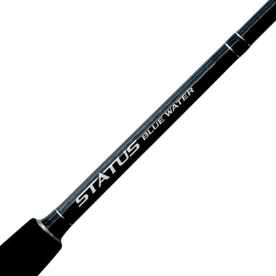 Shimano Status Bluewater Game 5'6" 24-37kg Bent Butt Rod + Shimano Dendou-Marou Forcemaster 9000 Reel PE:8 - 1000m