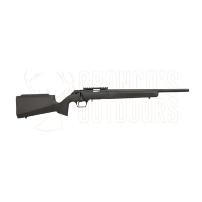 Springfield Armory 2020 Rimfire Target Black .22 LR