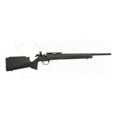 Springfield Armory 2020 Rimfire Target Black .22 LR