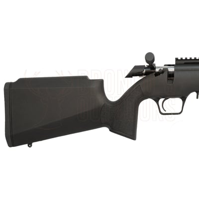 Springfield Armory 2020 Rimfire Target Black .22 LR