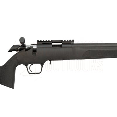Springfield Armory 2020 Rimfire Target Black .22 LR