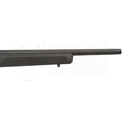 Springfield Armory 2020 Rimfire Target Black .22 LR