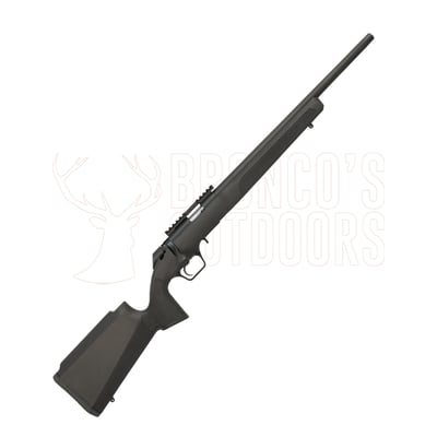 Springfield Armory 2020 Rimfire Target Black .22 LR