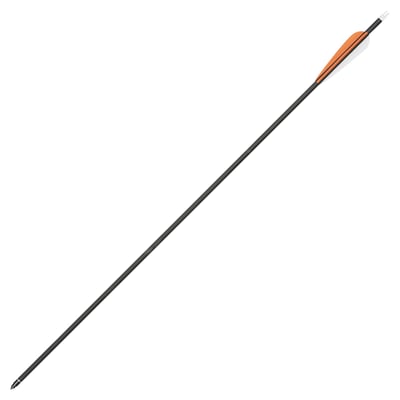 Stealth Carbon Arrow 30"