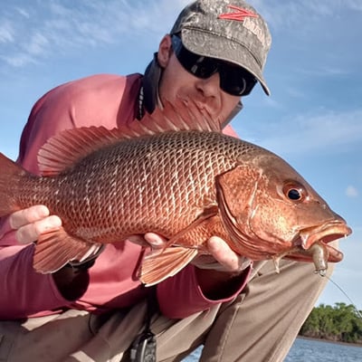TT Lures HeadlockZ HD Jig Heads