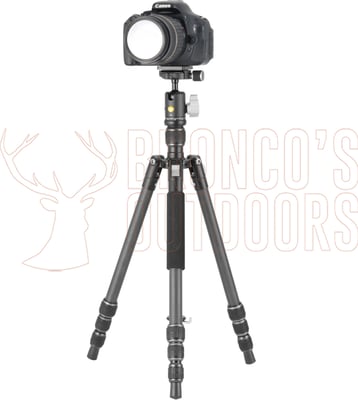 Vanguard Vesta Go 204CB Tripod Carbon Fibre BH-45 Ball Head