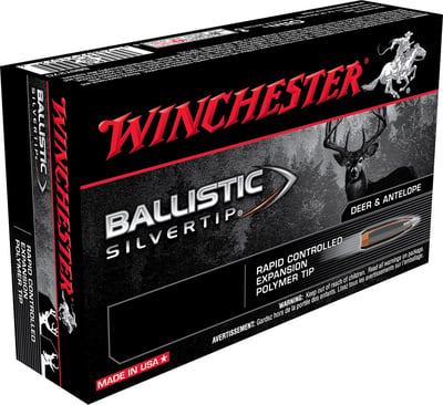 Winchester Ballistic Silvertip .243 95gr